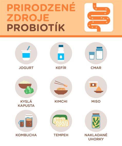 Infografika: Ako fungujú probiotiká Lactobacillus acidophilus v acidofilnom mlieku