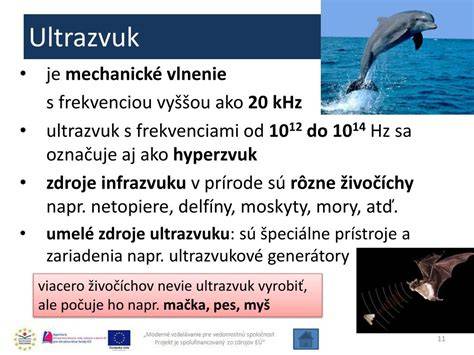 Infografika: Rozsahy infrazvuku a ultrazvuku, ako ich vnímajú ľudia a zvieratá