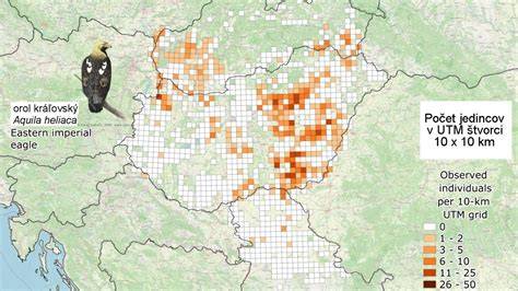 Ilustračná mapa pôrodníc v regióne, ako nájsť informácie o zoznamoch vecí do pôrodnice v Zvolene
