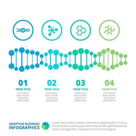 Infografika: Anatomia panvového dna a mechanizmus prolapsu