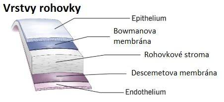 Schéma priečneho rezového prístupu Pfannenstiel - anatomické vrstvy pri cisárskom reze