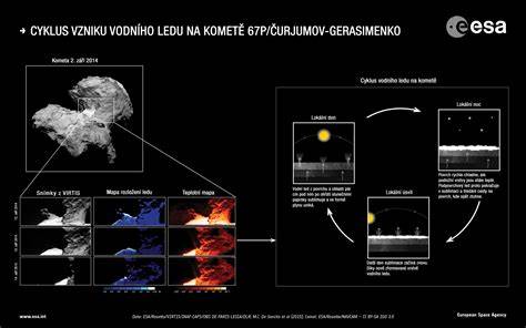 Infografika k endometriu: vrstvy a cyklus