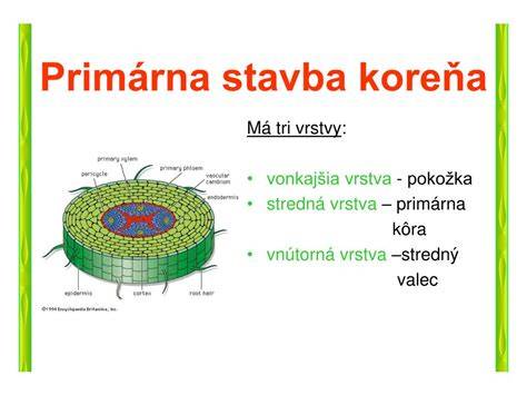 Infografika: Trojvrstvový systém zimného fusaku (vonkajšia vrstva, stredná izolácia, vnútorná vrstva) a zoznam praktických prvkov