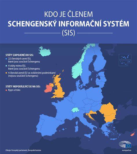 Infografika: Cievny systém a placentárna cirkulácia v tehotenstve