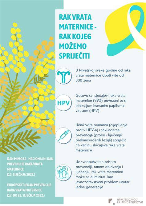 Infografika: Zavinenie maternice a priebeh šestonedelia