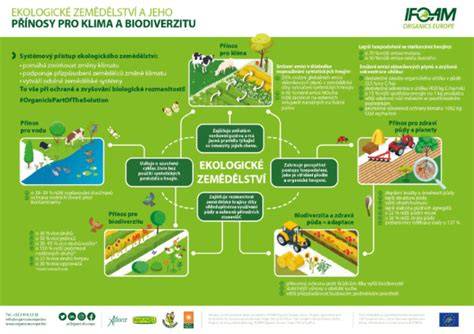 Infografika: ekologické fusaky vs. konvenčné fusaky