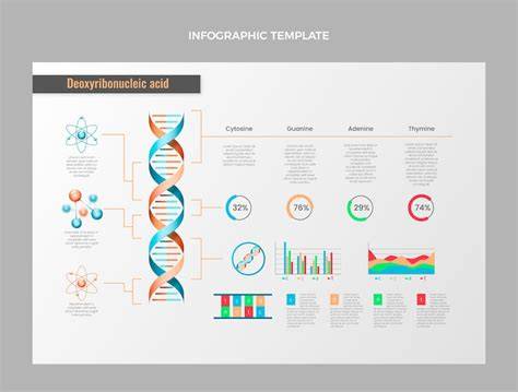 Infografika: anatomia a väzivá panvového dna
