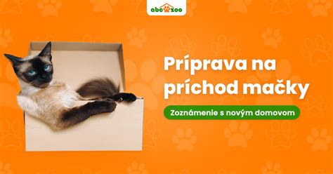 Infografika s postupom adaptácie mačky na príchod dieťaťa