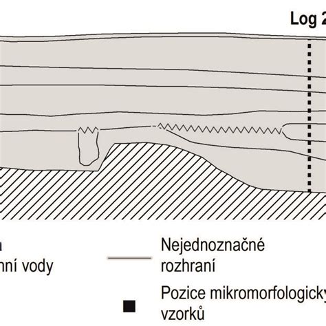 Schema zubného oblúka s vyznačenými stálymi zubami