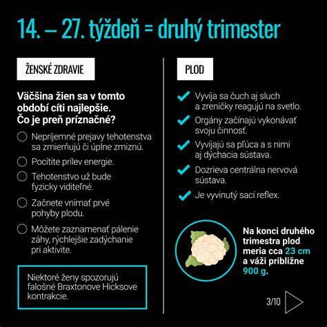 Infografika: Ako sa vyvíja tehotenstvo a kedy sa hľadá srdiečko