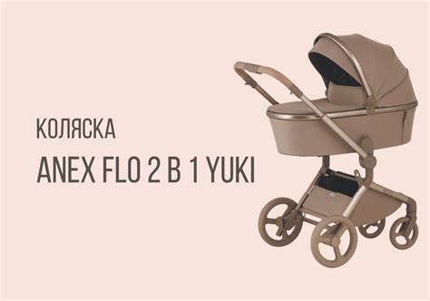 Príklad kočíka Anex Flo