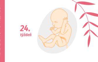 Infografika: Životný cyklus tehotenstva (1. - 40. týždeň)
