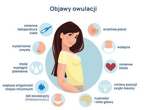Infografika: postup augmentačnej labioplastiky a jej možné varianty