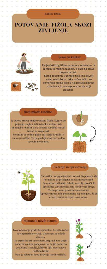 Infografika o typoch hysterektómie a rozsahu zákroku