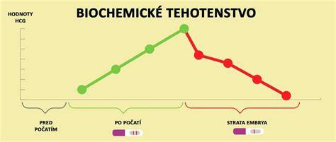 Obrázok: bývalé tehotenstvo a biochemické tehotenstvo - ako sa líšia