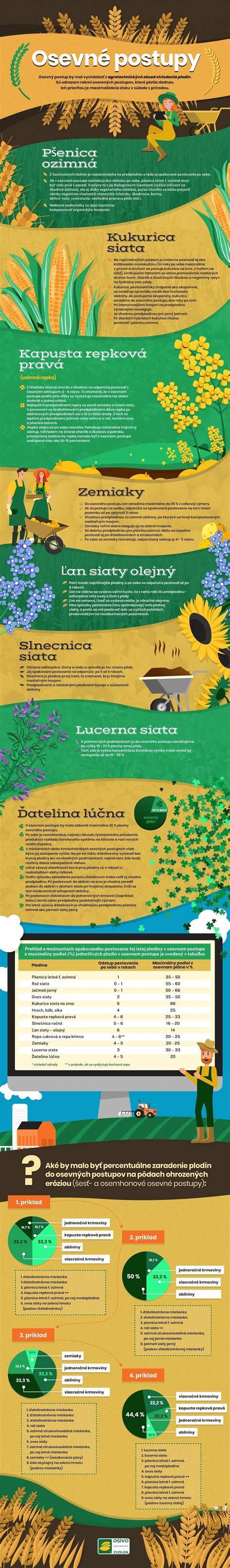 Infografika: Správny postup prevencie a skríningu