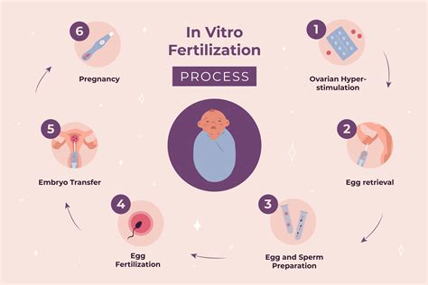 grafika zobrazujúca proces IVF