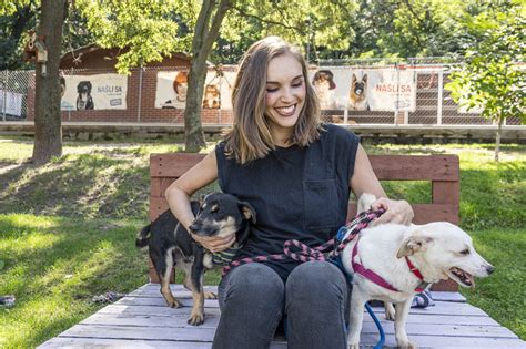 Ilustrácia psíka v útulku