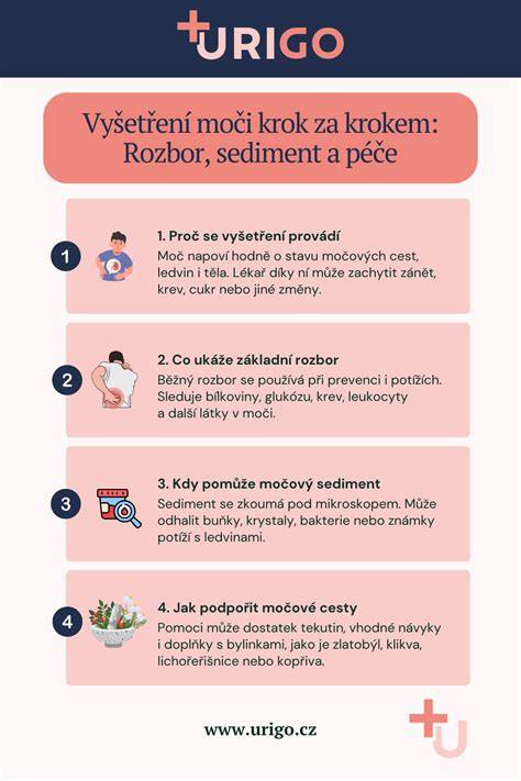 Infografika: Cesty podpory a vyšetrení po potrate