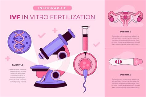 Infografika znázorňujúca proces IVF
