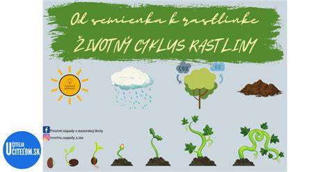 Infografika: Životný cyklus Alžbety II. od narodenia po úmrtie a kľúčové udalosti panovania