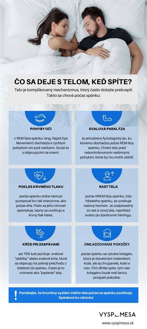 Infografika: Spánková rutina a jej fázy