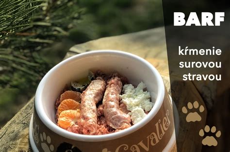 BARF: prvý príkrm pre šteňa a správne kŕmenie surovou stravou počas rastu