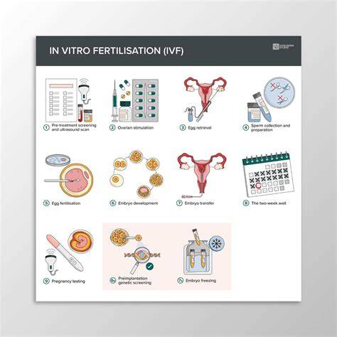infografika_Zaerbka_Prijmy_Vykony_IVF.png