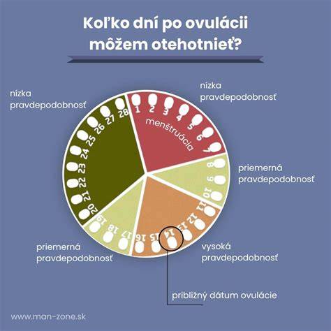 Infografika: Mýty vs. realita o ústnem zdraví a tehotenstve