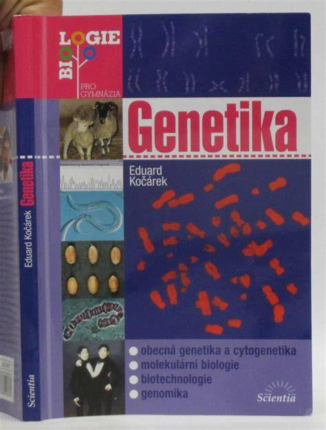 Biologické faktory určujúce pohlavie dieťaťa: čo nám hovorí genetika, cytogenetika a ultrazvuk