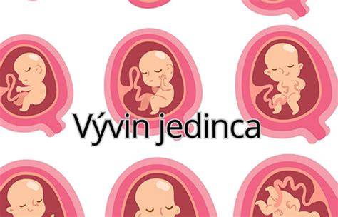 Infografika: Vývin reči od narodenia po 5 rokov (časová os a míľniky)