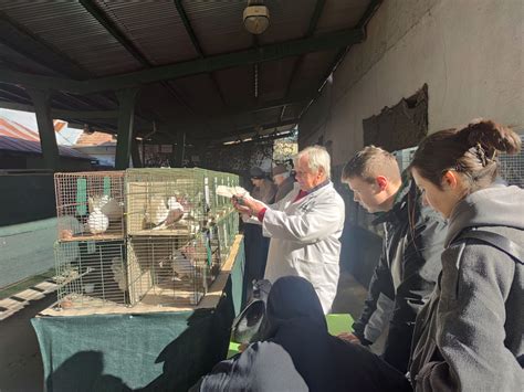 Námluvný rituál zvierat