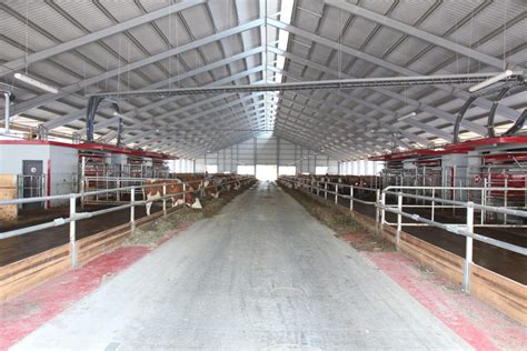 Reprodukčný cyklus dojnice