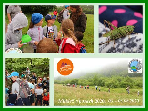 Koláž obrázkov detí pri rôznych motorických aktivitách