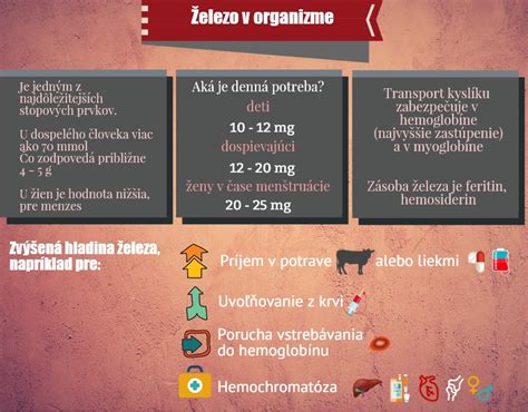Infografika o zdrojoch železa v strave