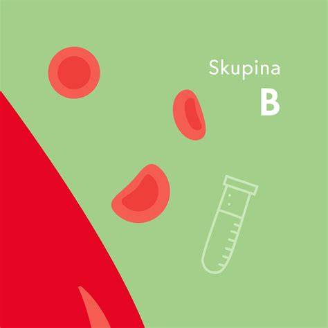 Obr.1: Stravovacie princípy pre krvnú skupinu A