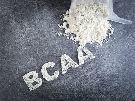 Aminokyseliny BCAA a ich vplyv na plodnosť a celkové zdravie