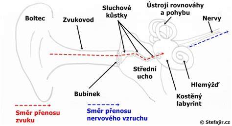 Schéma sluchového systému a cestu zvuku od vonkajšieho ucha až do mozgu