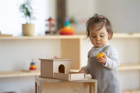 Montessori_priblizenie_obr.jpg