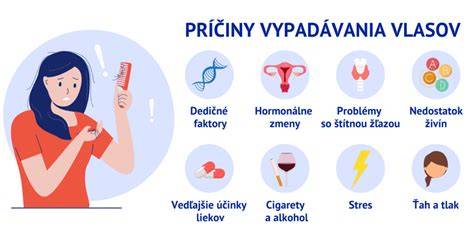 Infografika: hormonálne zmeny počas falošnej gravidity u psov
