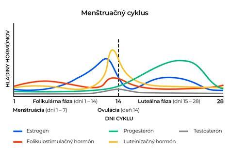 Infografika: Ako Duphaston ovplyvňuje endometrium a cyklus