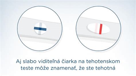 Infografika: Ako funguje tehotenský test a čo znamená druhá čiarka