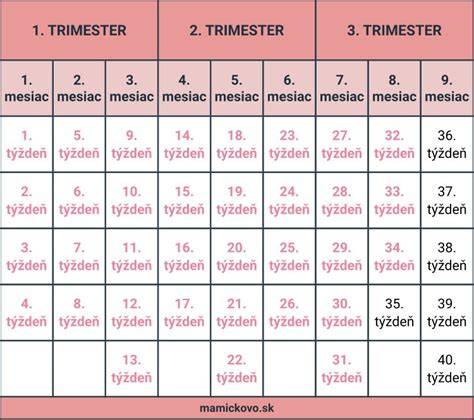 Infografika: Rozpis týždňov tehotenstva, trimesterov a mesiacov