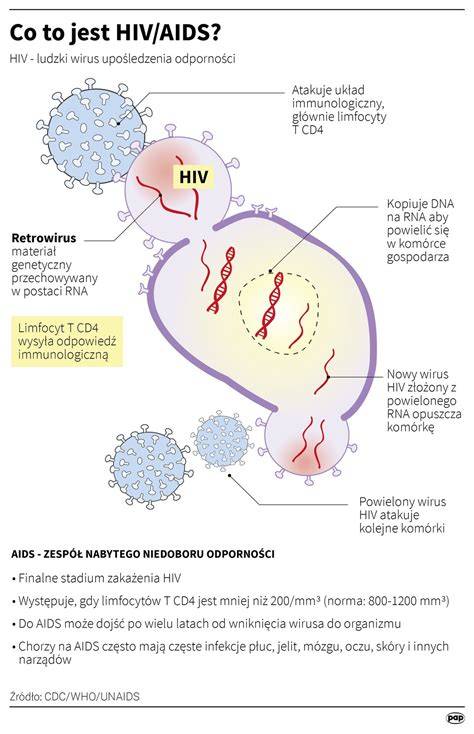 Infografika: PMTCT a prenosenie HIV z matky na dieťa