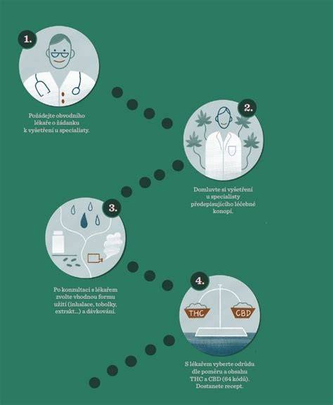 Infografika: Cesta utajeného pôrodu od tehotenstva po adopciu