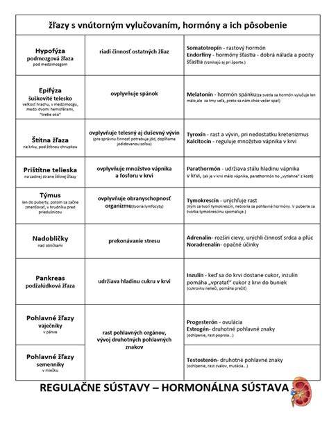 Infografika: Hormonálna os ženskej plodnosti a hlavné hormóny