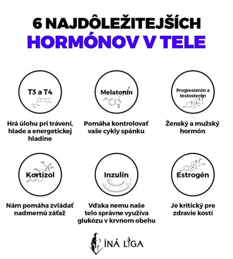 Hormóny dôležité pre otehotnenie a ich funkcia 