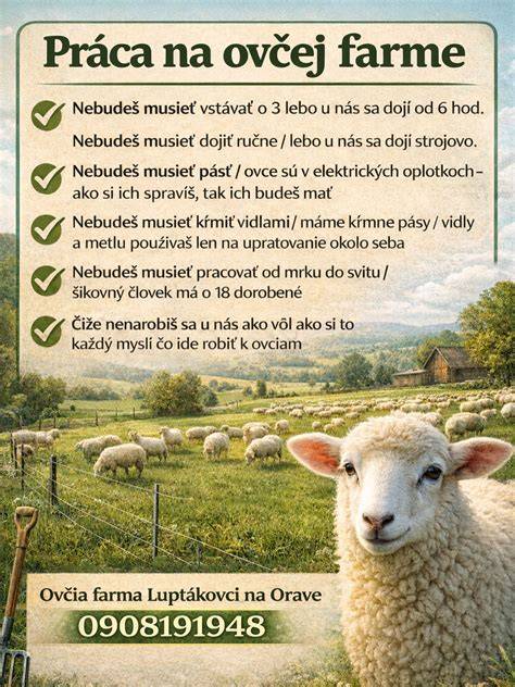 Infografika: Porovnanie typov jaslí a ich výšky pre ovce