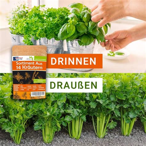 Kolekcia rôznych byliniek