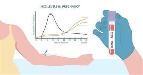 Infografika: Ako sa vyvíja hCG počas tehotenstva
